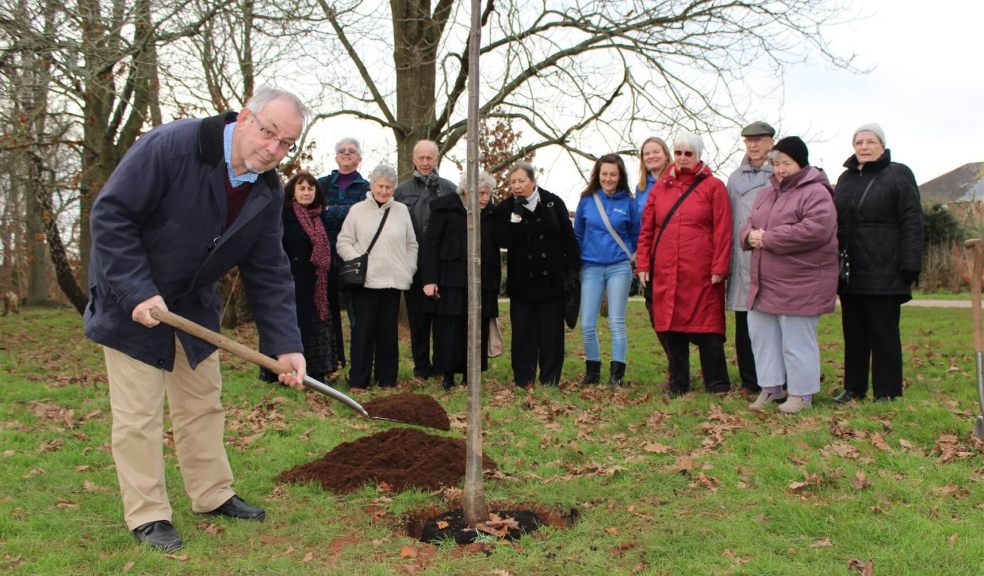 Council plants over 10,000 trees in Exeter The Exeter Daily